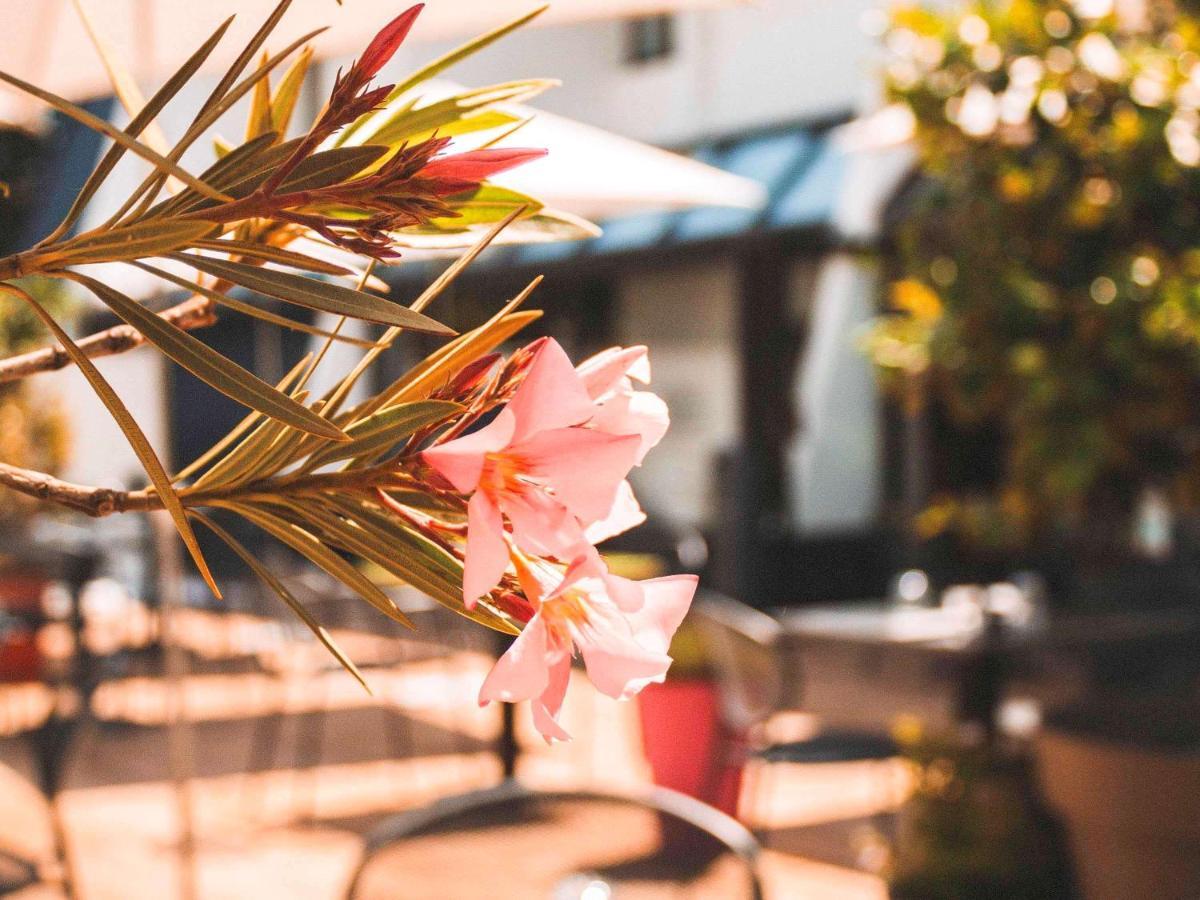 Отель Ibis Styles Toulouse Лябеж Экстерьер фото